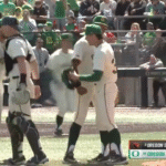 Oregon baseball celebrates.