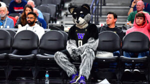 Washington Huskies mascot.