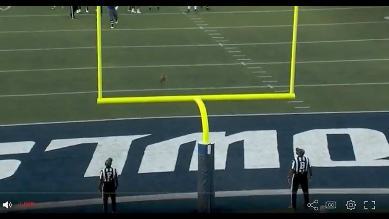 Doink times four Gamewinning field goal attempt for Rice improbably