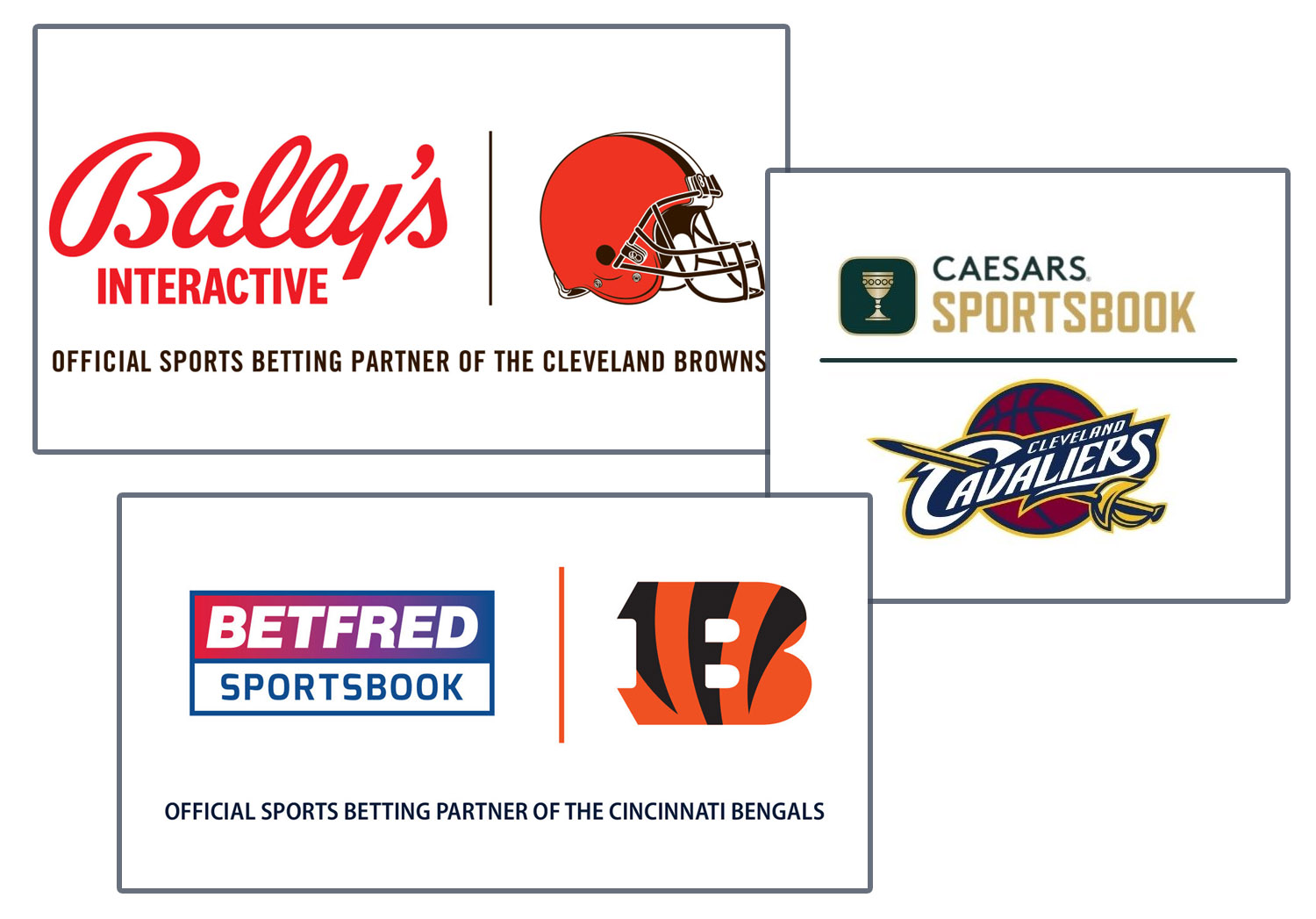 sports betting team franchise licenses and partnerships
